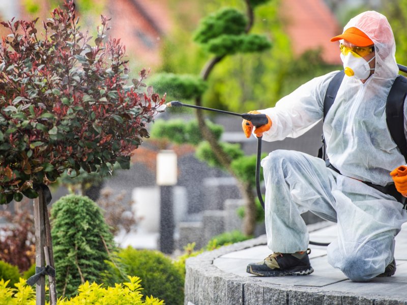 Çerkezköy Haşere İlaçlama